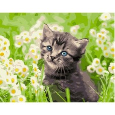 Картина по номерам 40*50см Маленький котенок VA-2134